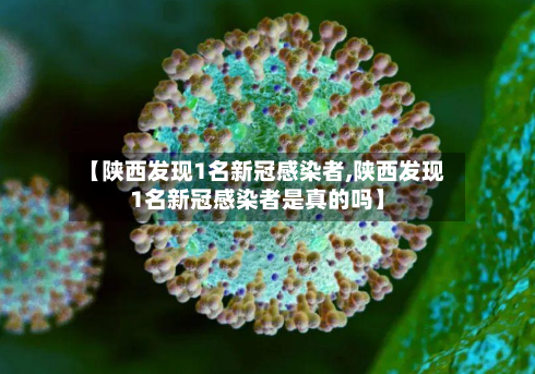 【陕西发现1名新冠感染者,陕西发现1名新冠感染者是真的吗】