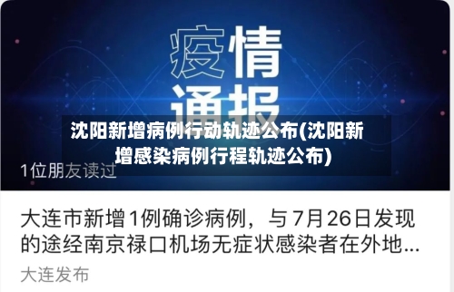 沈阳新增病例行动轨迹公布(沈阳新增感染病例行程轨迹公布)-第2张图片