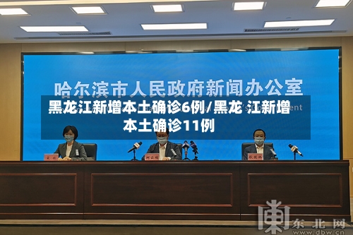 黑龙江新增本土确诊6例/黑龙 江新增本土确诊11例-第3张图片
